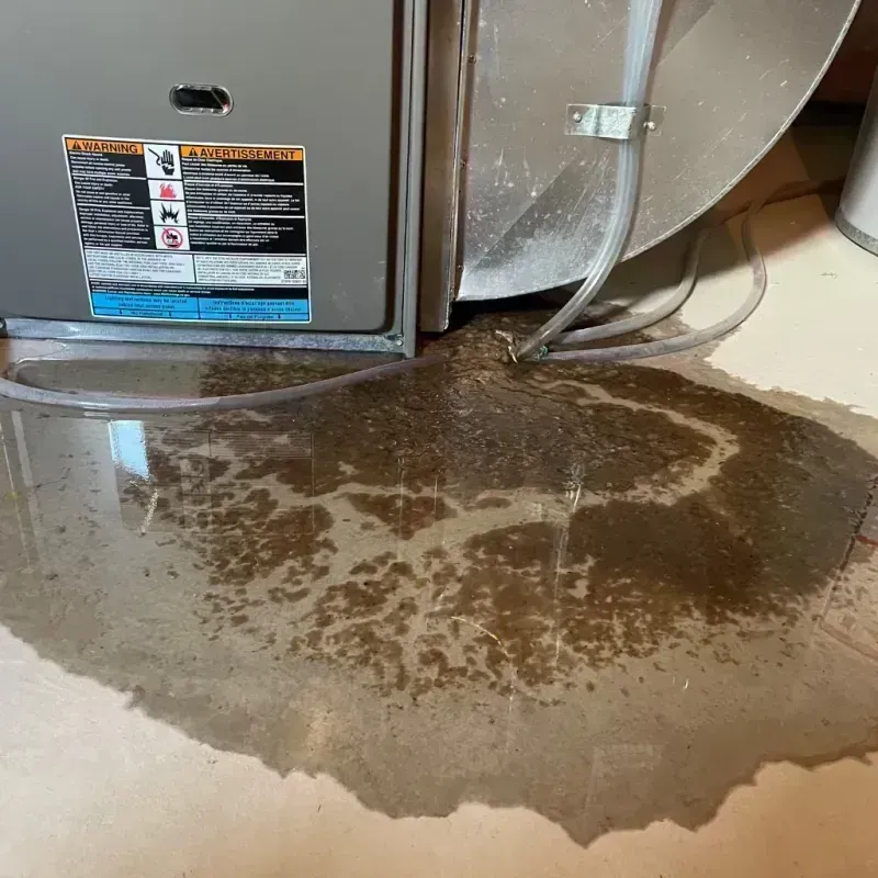 Appliance Leak Cleanup in Marshall, MO